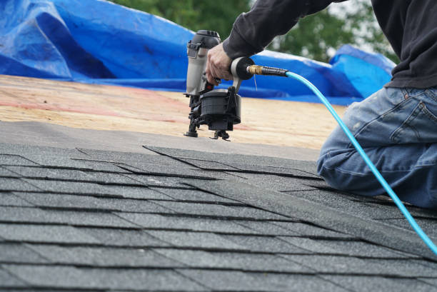 Roof Gutter Cleaning in Glencoe, FL